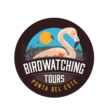 birding tours png